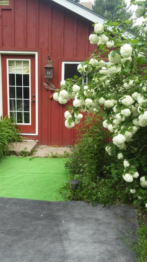 Ethel Maud Place Hotell Severn Exteriör bild