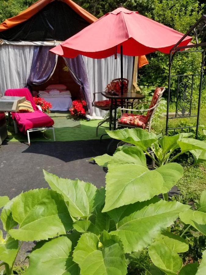 Ethel Maud Place Hotell Severn Exteriör bild